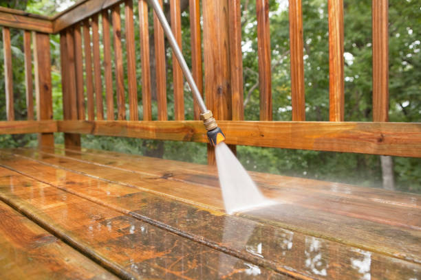 Best Residential Pressure Washing Services  in Hillsdale, MI